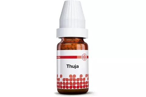Thuja
